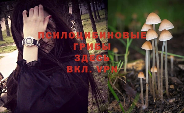 прущие крисы Козловка