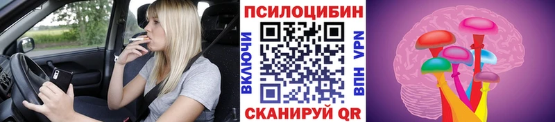 Псилоцибиновые грибы Magic Shrooms даркнет сайт Кизилюрт