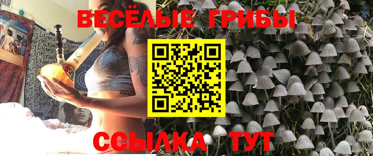 Кизилюрт  Псилоцибиновые грибы прущие грибы  Вход с VPN 
