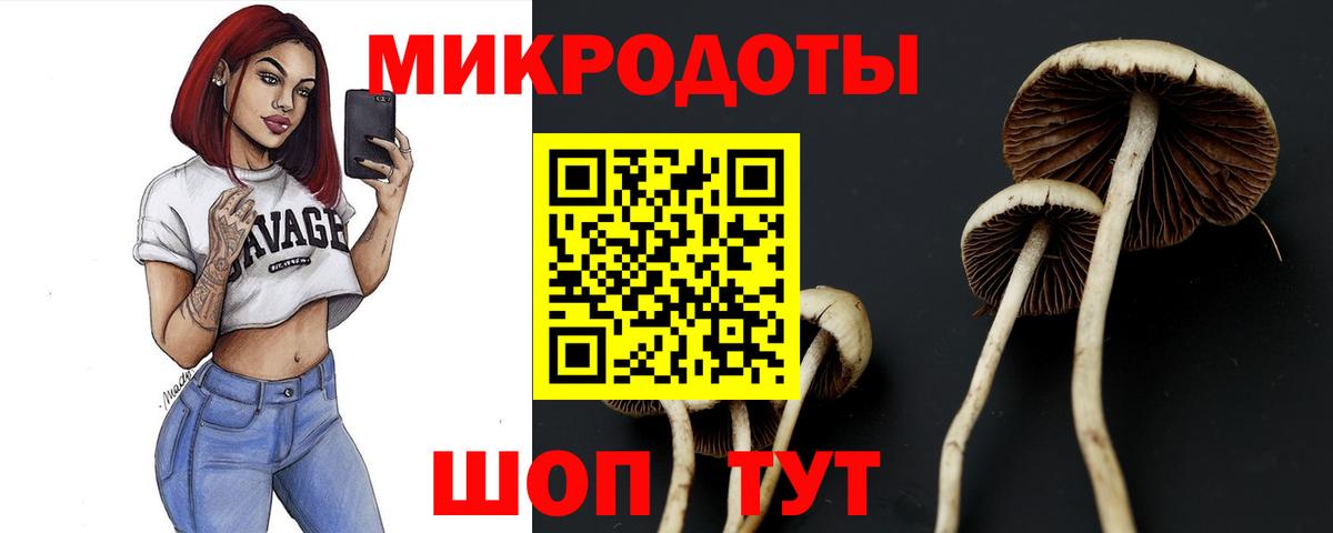 Псилоцибиновые грибы мицелий Кизилюрт