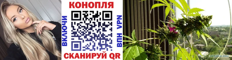 Бошки марихуана тримм  купить   Кизилюрт 